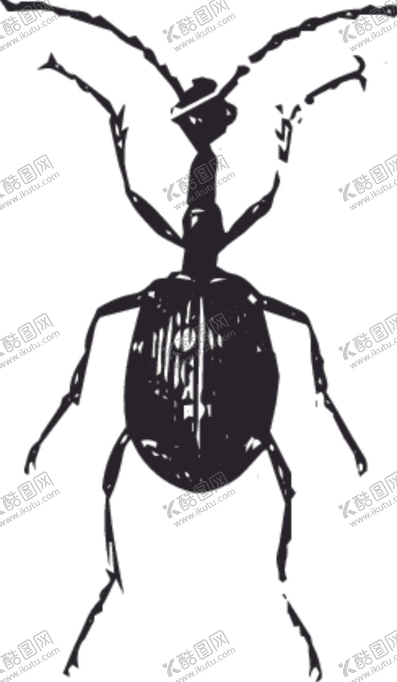 编号：83820710092126352339【酷图网】源文件下载-自然昆虫标本插画