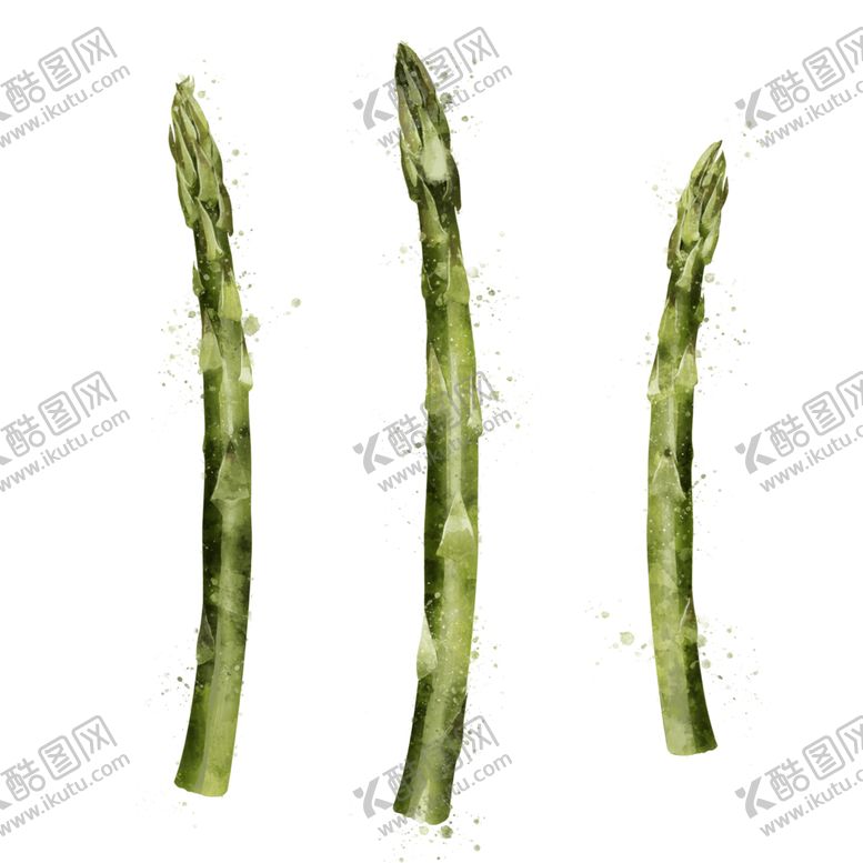 编号：94847503201311203578【酷图网】源文件下载-手绘彩色蔬菜免扣素材图片