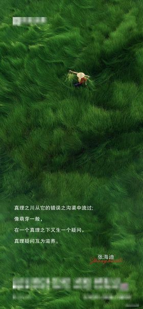绿草地 励志日签