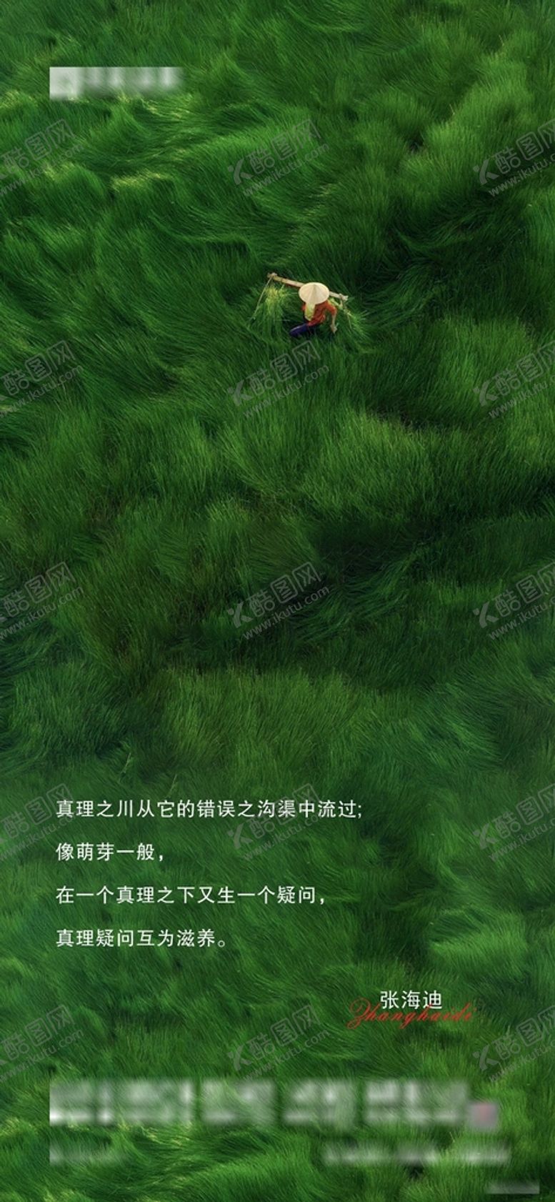 编号：48822705250620317887【酷图网】源文件下载-绿草地 励志日签