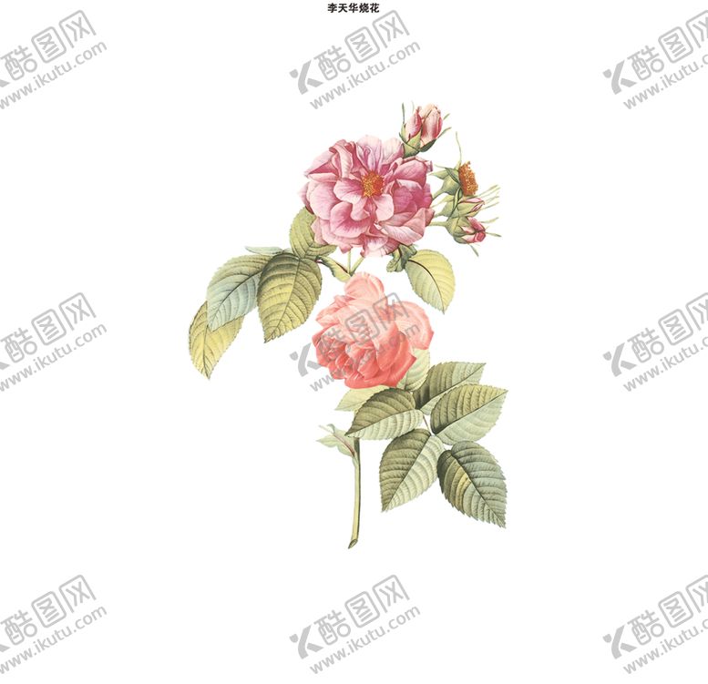 编号：93514607051954371835【酷图网】源文件下载-手绘花
