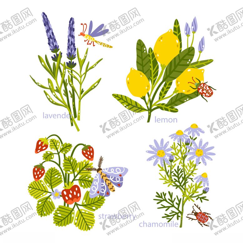编号：70358802270938231749【酷图网】源文件下载-手绘水彩花卉草药元素