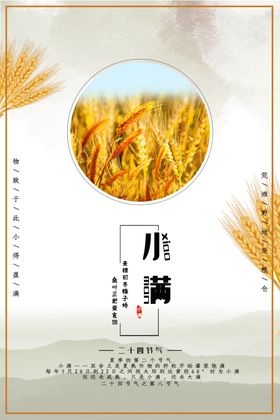 小满夏至海报广告