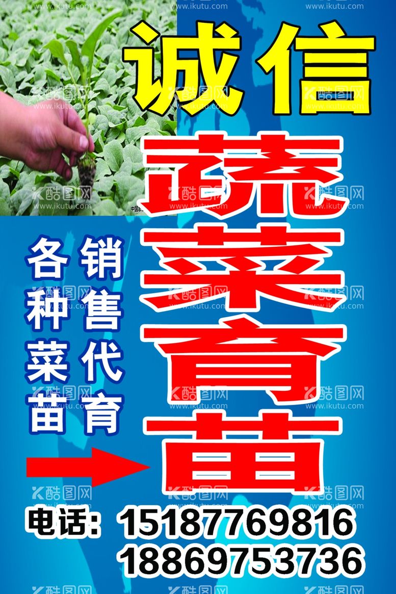 编号：78908812221044481689【酷图网】源文件下载-蔬菜育苗