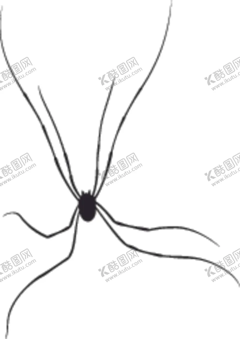 编号：91292907071515439607【酷图网】源文件下载-昆虫系列蜘蛛