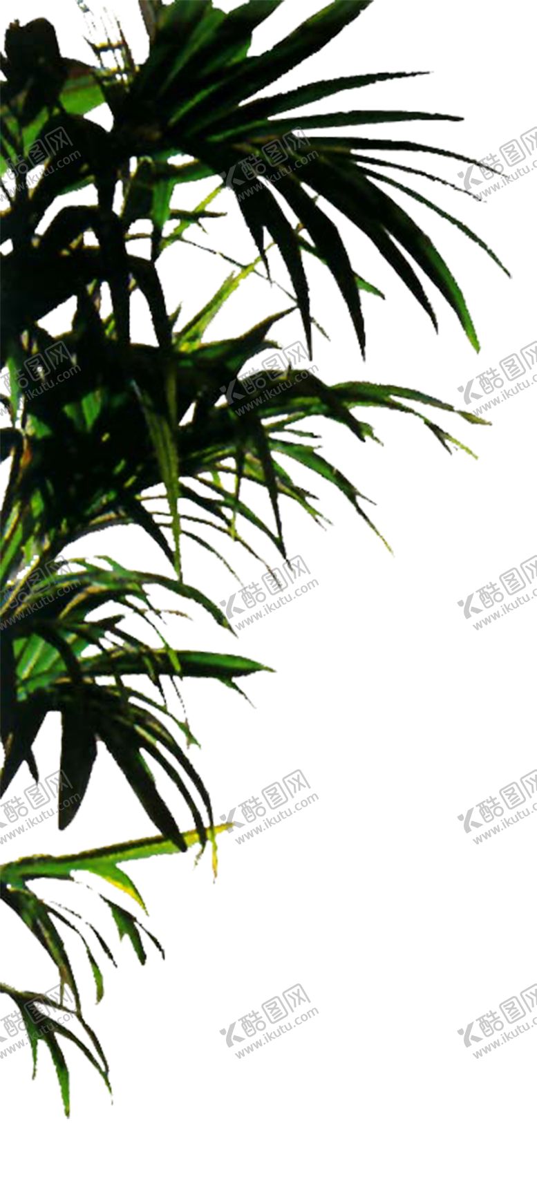 编号：60504709211726594742【酷图网】源文件下载-绿色装饰