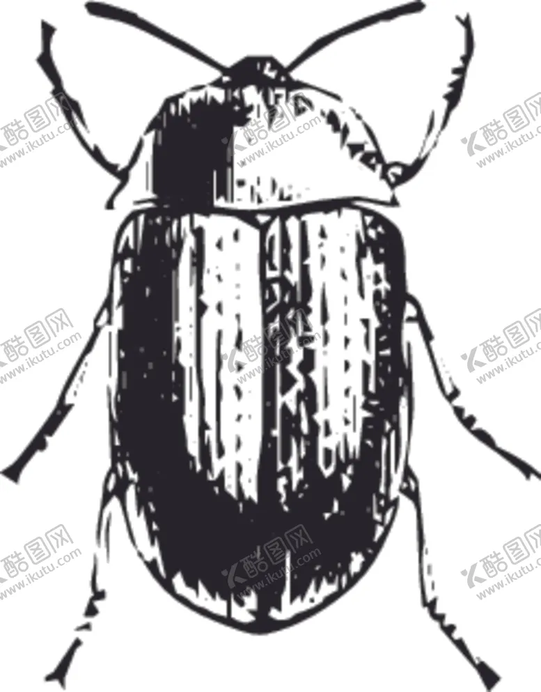 编号：18660410092200574372【酷图网】源文件下载-自然昆虫标本插画