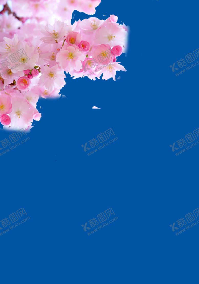 编号：47197007010501122849【酷图网】源文件下载-桃花