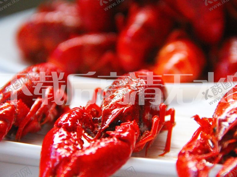 编号：29575509260531046616【酷图网】源文件下载-小龙虾