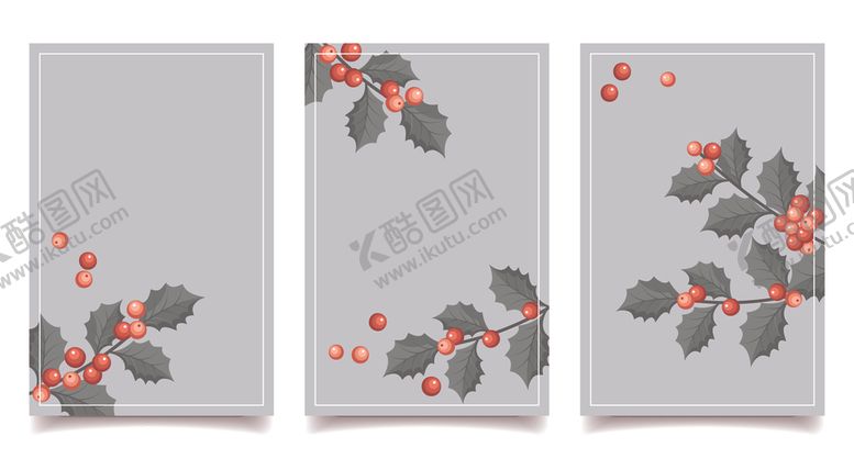 编号：17538201041032439621【酷图网】源文件下载-冬青浆果背景
