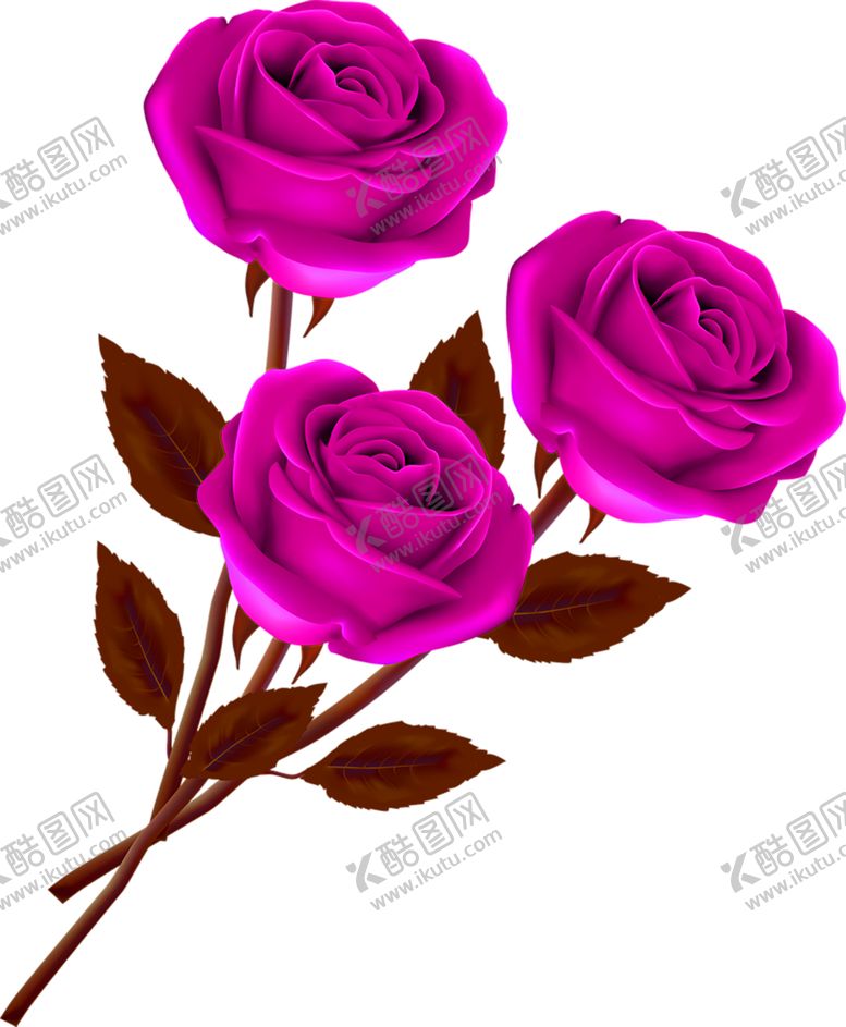 编号：41439207060146106304【酷图网】源文件下载-鲜花素材