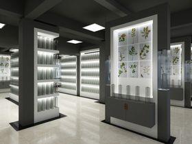 中药展厅