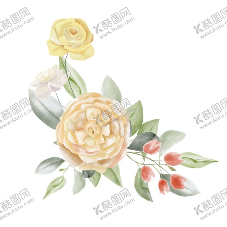编号：31860210012239290528【酷图网】源文件下载-花卉水彩
