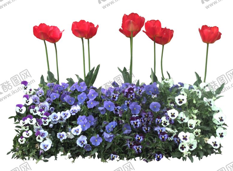 编号：65633910311429202340【酷图网】源文件下载-矮花卉