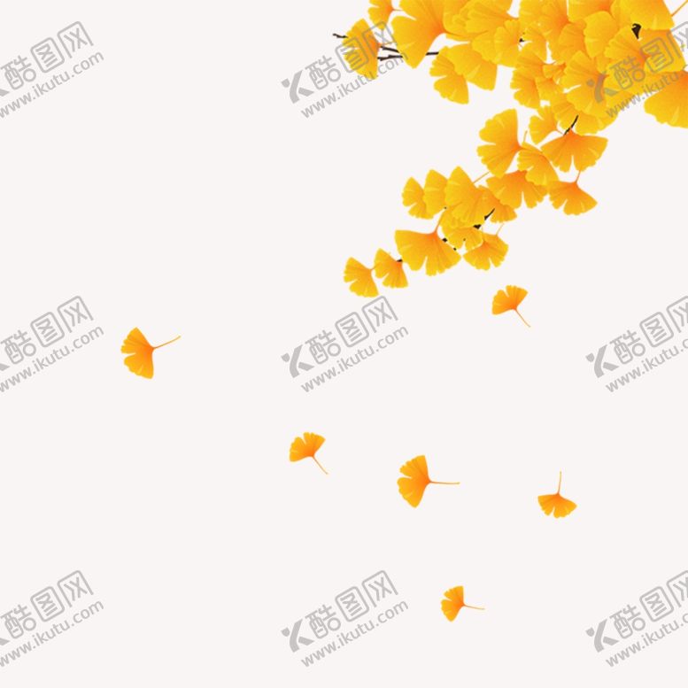 编号：17299804210640429116【酷图网】源文件下载-银杏花卉素材