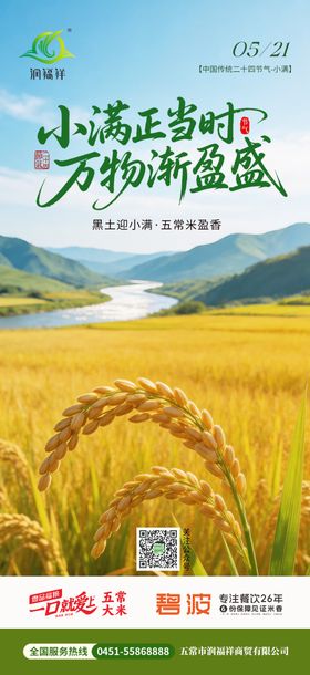 农业小满节气海报