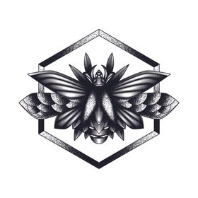 线描昆虫