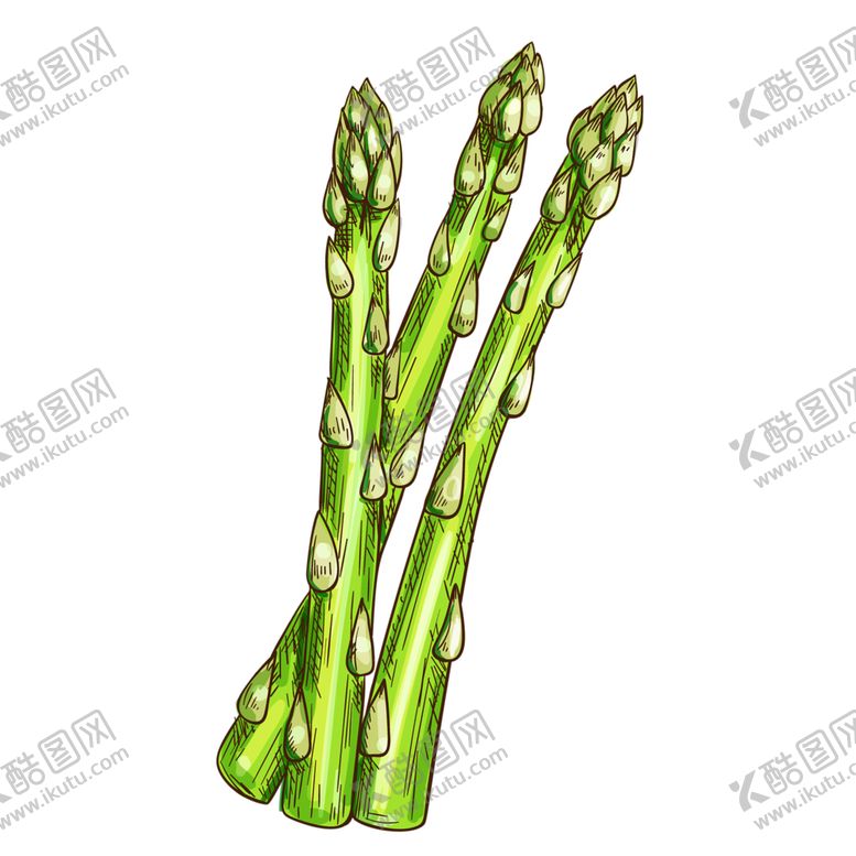 编号：66764410290849433889【酷图网】源文件下载-绿色相框