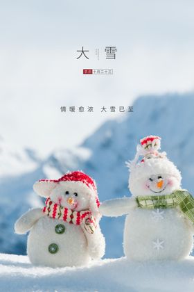 原创二十四节气大雪节气手绘海报