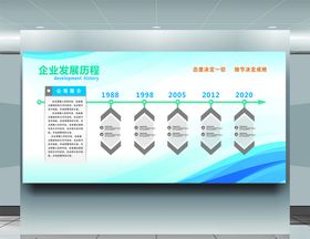 企业发展历程