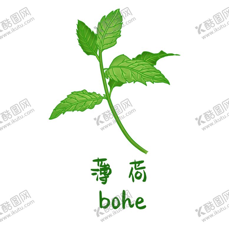 编号：86385105140331032300【酷图网】源文件下载-草本植物药材