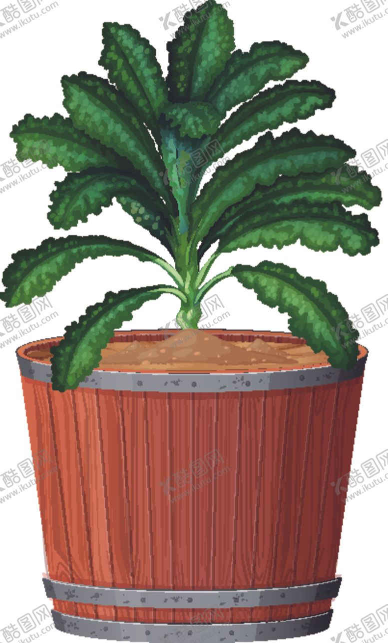 编号：57077109300333504007【酷图网】源文件下载-盆景盆栽