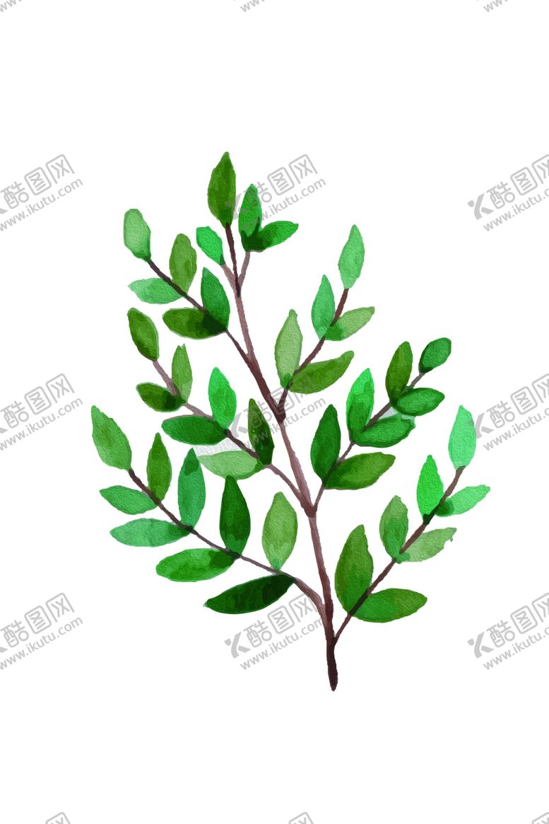 编号：66680509122236029663【酷图网】源文件下载-植物装饰画