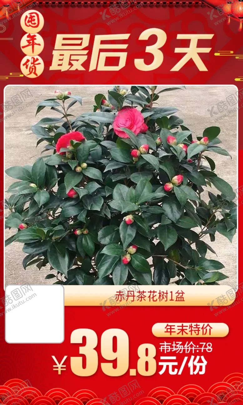 编号：23013603180158149894【酷图网】源文件下载-赤丹茶花树1盆