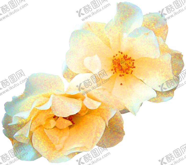 编号：69548809182246125158【酷图网】源文件下载-鲜花装饰