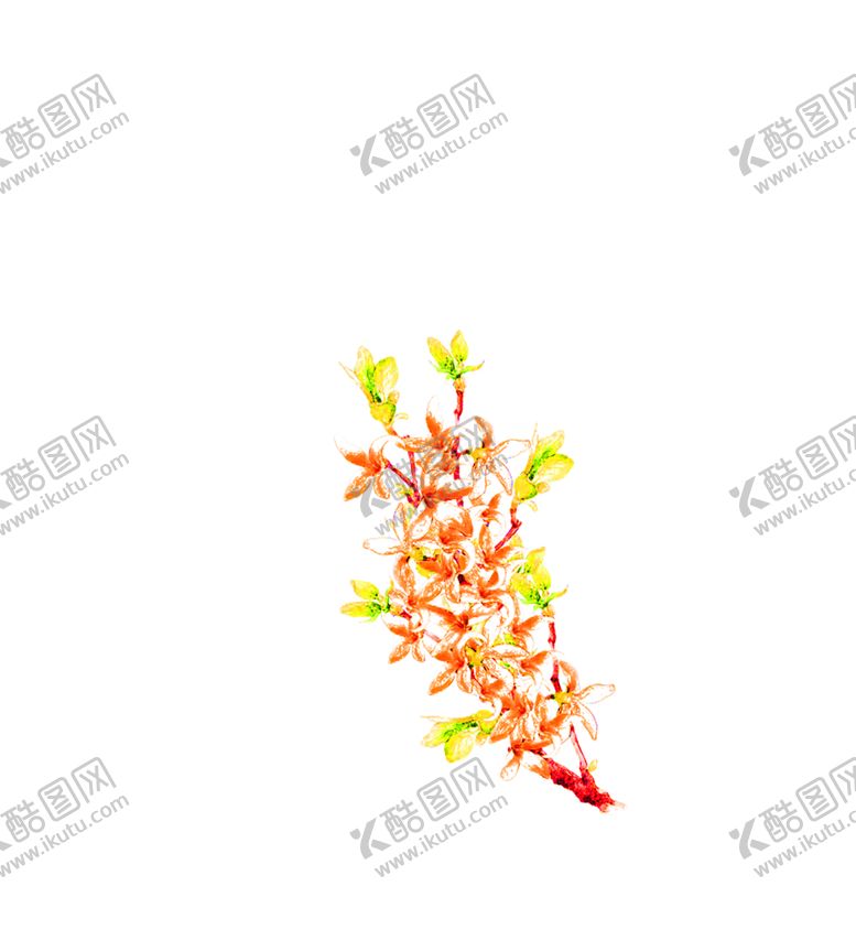 编号：43213310090012111052【酷图网】源文件下载-花素材