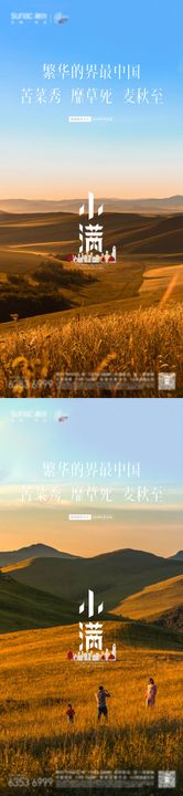 小满系列海报风景地产二十四节气