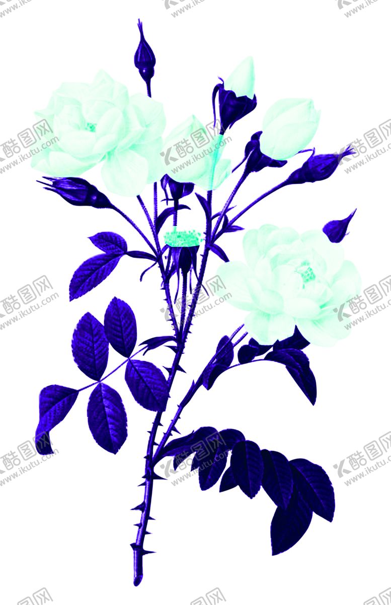 编号：20432506151449512643【酷图网】源文件下载-花素材