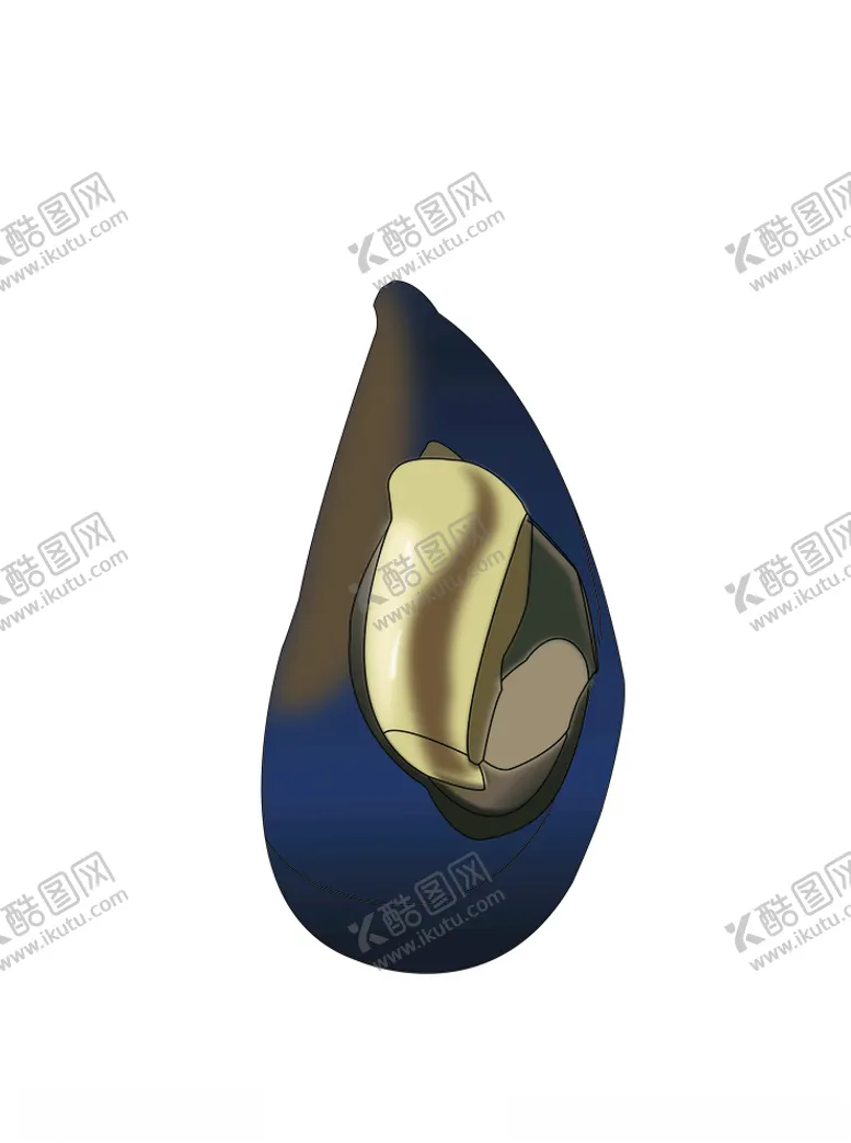 编号：44311610301307508295【酷图网】源文件下载-贻贝淡菜青口插画海鲜贝类