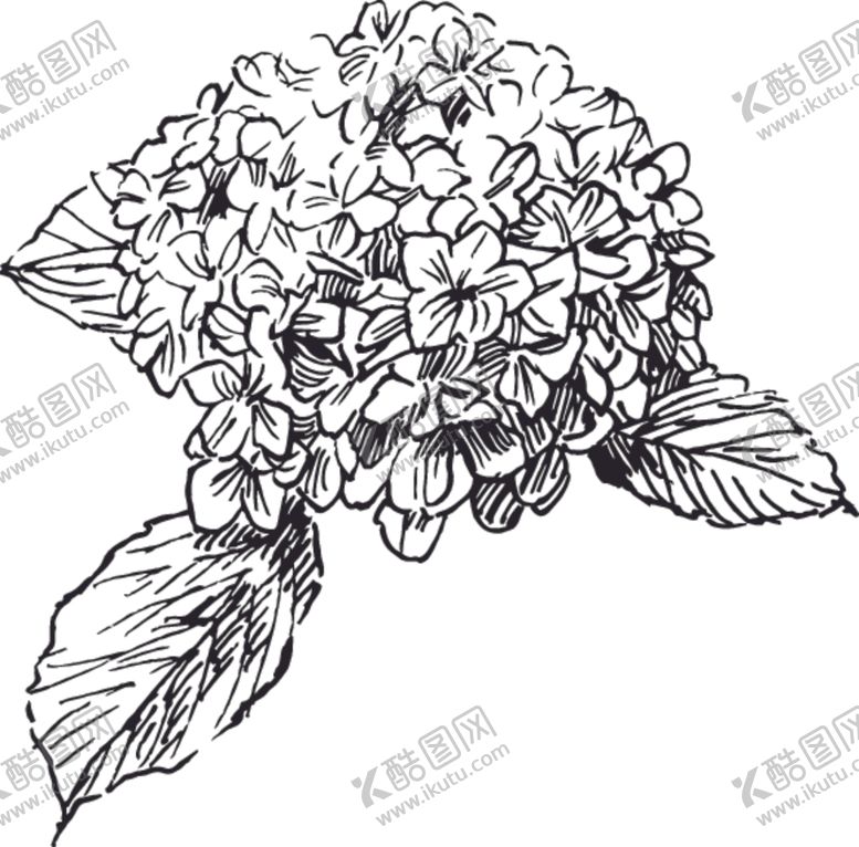 编号：63902809120825484896【酷图网】源文件下载-素描鲜花