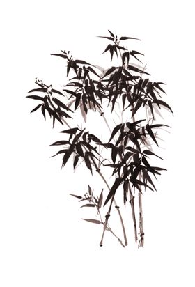 水墨竹子