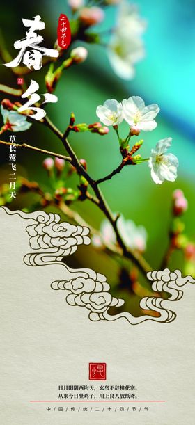 春分节气宣传单海报节气单页