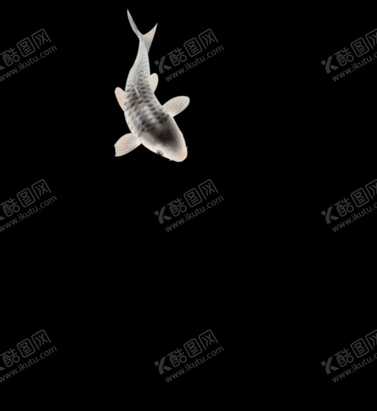 编号：47727504080739122765【酷图网】源文件下载-水墨墨迹鲤鱼