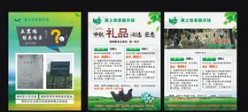 五黑乌鸡绿壳鸡蛋海报