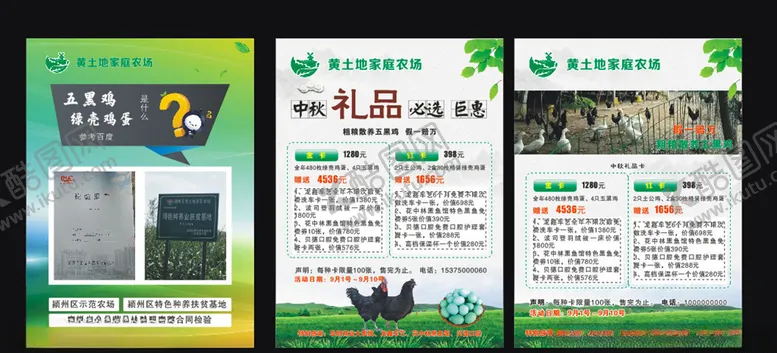 编号：52419603290640096226【酷图网】源文件下载-五黑鸡绿壳蛋黄土地家庭农场