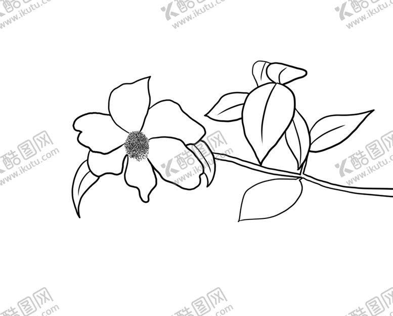 编号：53951807081613517737【酷图网】源文件下载-茶花
