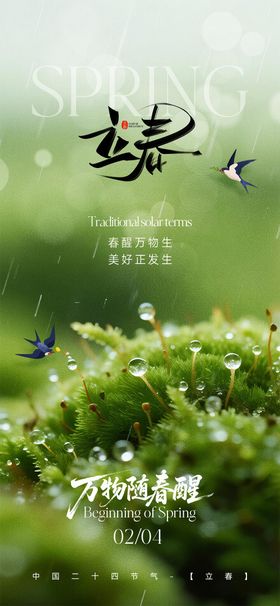 立春质感节气海报