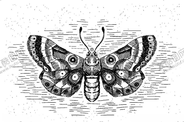 编号：75563810311720249438【酷图网】源文件下载-蝴蝶手绘