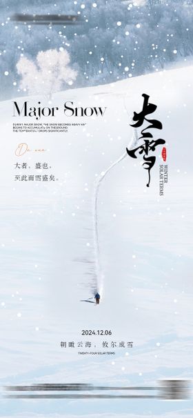 大雪质感高级海报