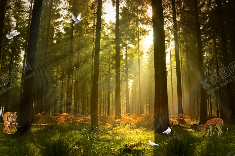 编号：92936910270159145425【酷图网】源文件下载-风景