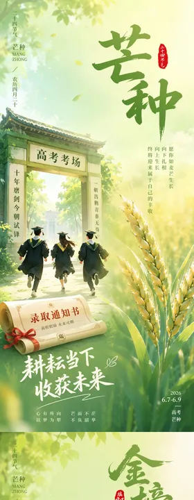芒种高考系列插画海报