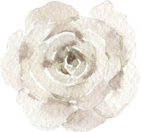 水彩绘画花朵树枝装饰