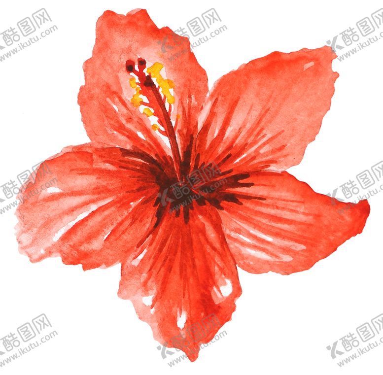 编号：78462809290530447933【酷图网】源文件下载-清新水彩植物花朵插画