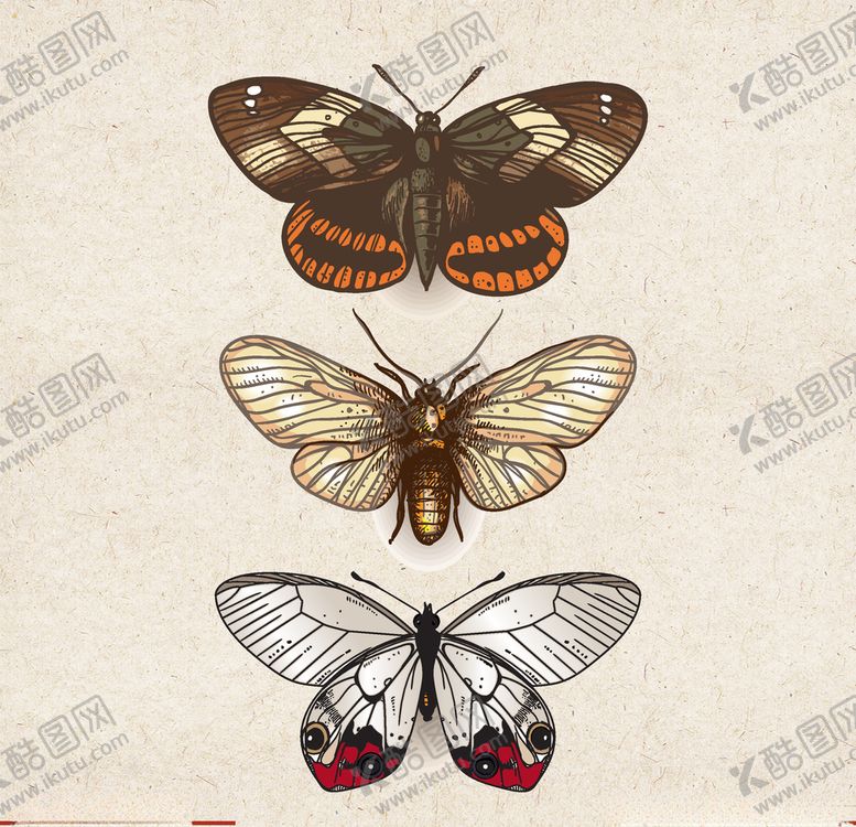 编号：64041709222052226878【酷图网】源文件下载-矢量动物矢量植物插画手绘