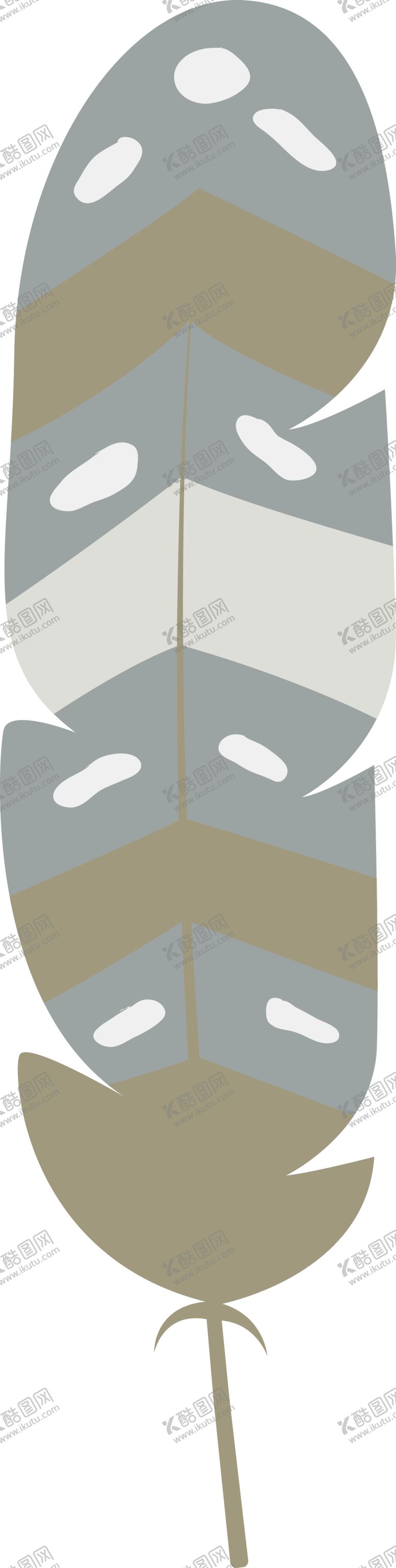编号：22885801250308396456【酷图网】源文件下载-羽毛  素材