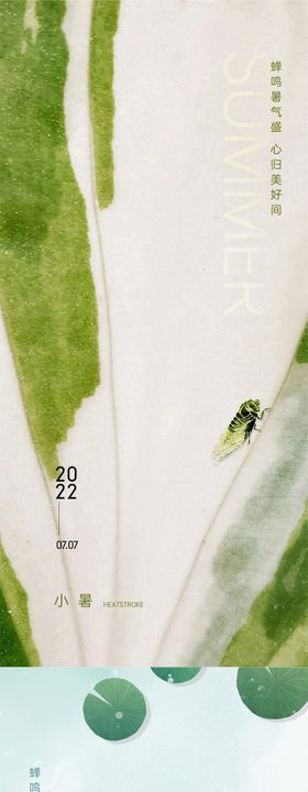 24节气系列海报